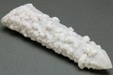 Milky, Candle Quartz Crystal - Inner Mongolia #226239-1